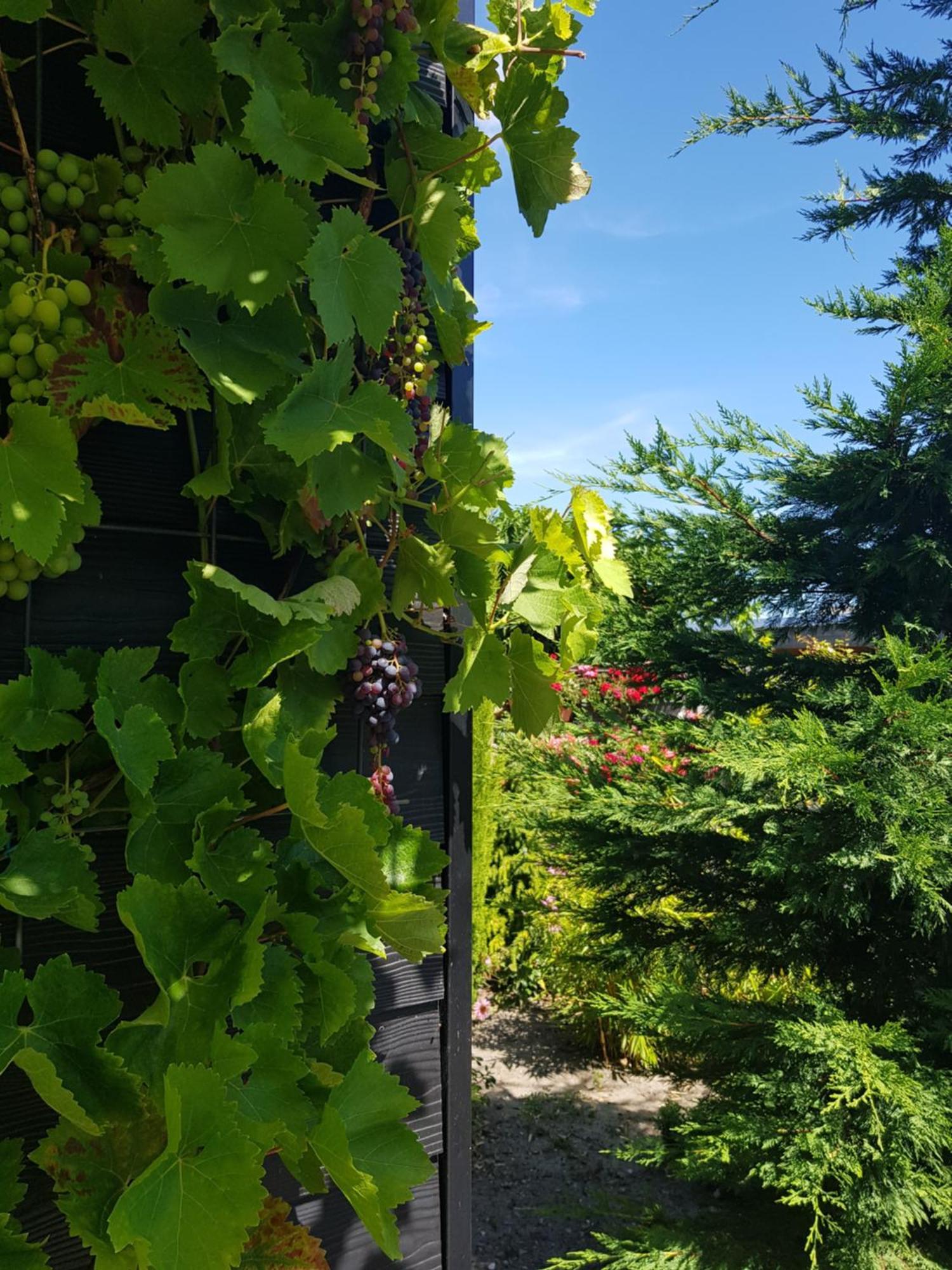 B&B Welkom Zierikzee Oda fotoğraf