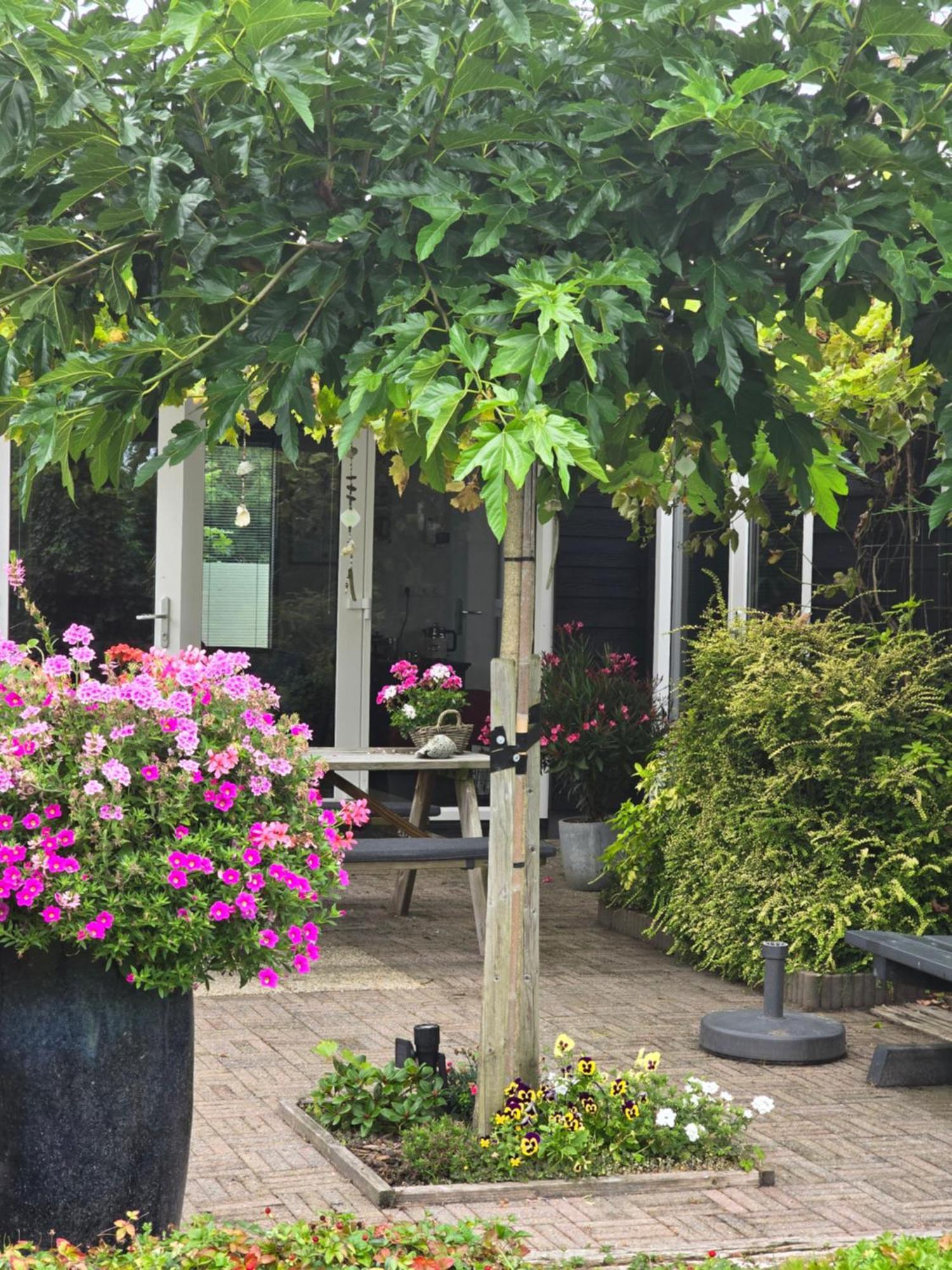 B&B Welkom Zierikzee Dış mekan fotoğraf