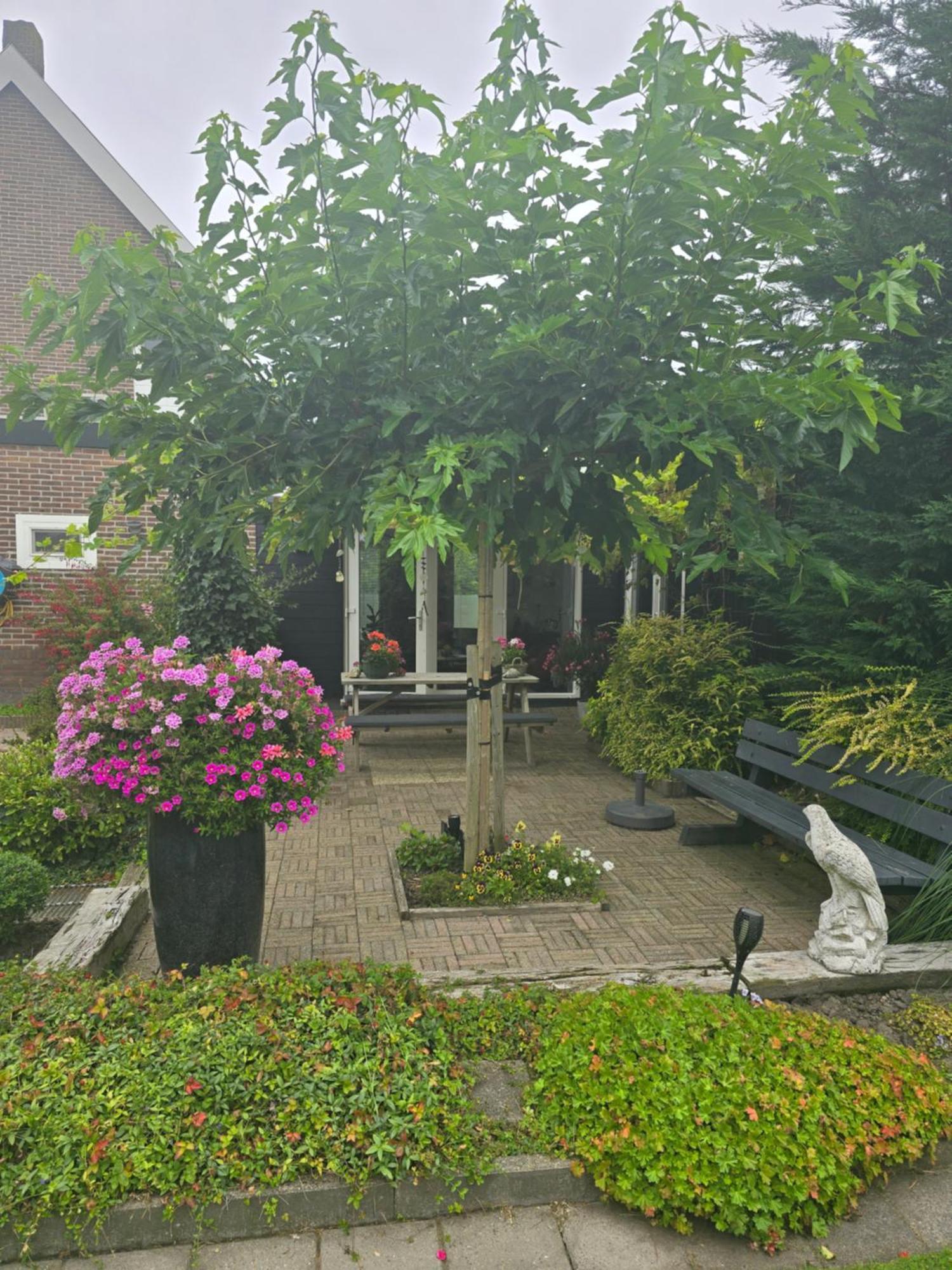 B&B Welkom Zierikzee Dış mekan fotoğraf